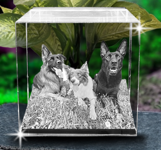 Personalizado 5x5x5cm